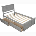 Twin Size Platform Bed with Two Drawers by DailySale