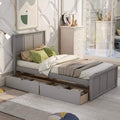 Twin Size Platform Bed with Two Drawers by DailySale