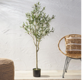 Noble House Tigue 5ft Artificial Olive Tree by Vanessa Jane