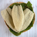 Ugandan Exfoliator Natural Loofah (Ekyangwe) by Duma Mbili LLC