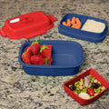 Ultimate Bento Box - Lunch Box for Kids & Adults by DailySale