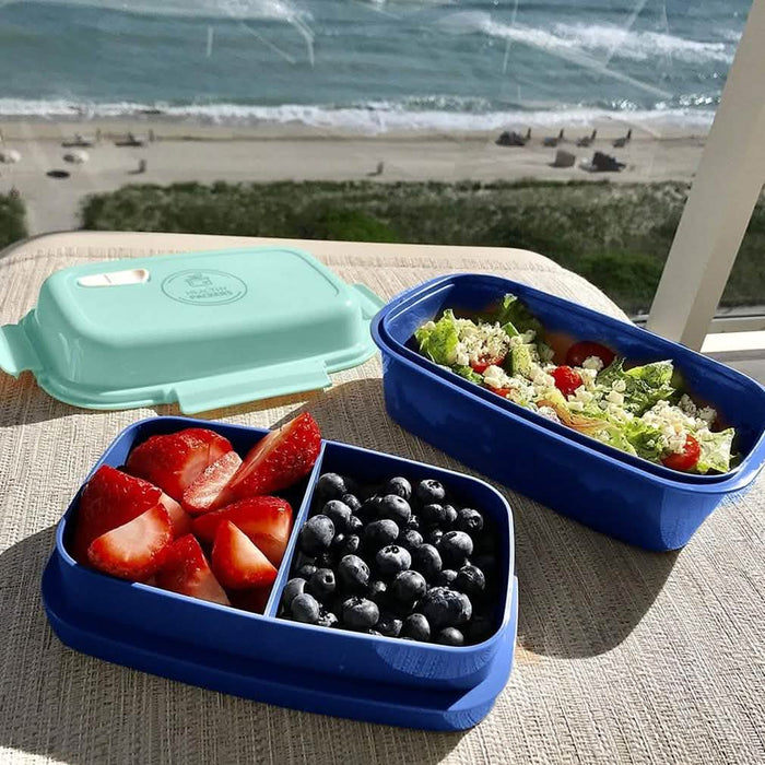 Ultimate Bento Box - Lunch Box for Kids & Adults by DailySale