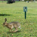 Ultrasonic Animal Repeller IP4 Waterproof Motion Sensor Repellent with Flashing Led Light by DailySale