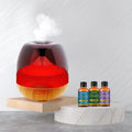 Ultrasonic Aromatherapy Cool Mist Humidifier Diffuser by DailySale