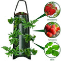 Upside Down Tomato Grow Bag by DailySale