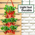 Upside Down Tomato Grow Bag by DailySale
