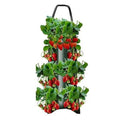 Upside Down Tomato Grow Bag by DailySale