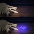 UV Flashlight Black Light by DailySale
