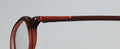 Vera Wang V14 Eyeglasses by ModaFrames