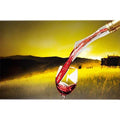 Vino Air Wine Aerator by DailySale
