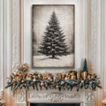 Vintage Christmas Tree Wall Art III by Tailored Canvases