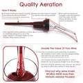 Vintorio Wine Aerator Pourer - Premium Aerating Pourer and Decanter Spout by DailySale