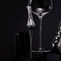 Vintorio Wine Aerator Pourer - Premium Aerating Pourer and Decanter Spout by DailySale
