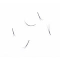 VIP Pre Fanned Lash Extensions 3D | 12-Line Tray