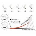 VIP Pre Fanned Lash Extensions 6D | 12-Line Tray