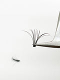 VIP Quick Fan Lash Extensions 0.05 mm D Curl | 12-Line Mix (8–18 mm)