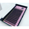 VIP Rapid Lash Extensions 5D