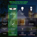 VOSONX Solar Powered Security Lights by DailySale