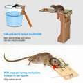 Walk the Plank Mouse Trap Reusable by DailySale