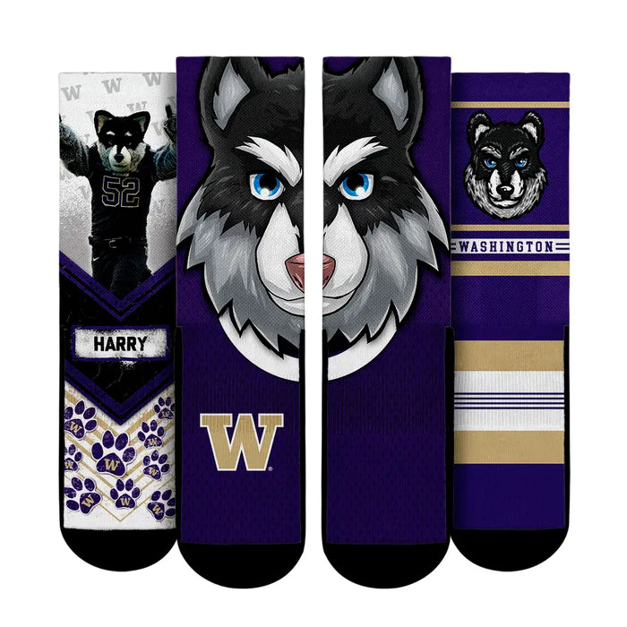 Washington Huskies - Mascot 3-Pack by Rock 'Em Socks