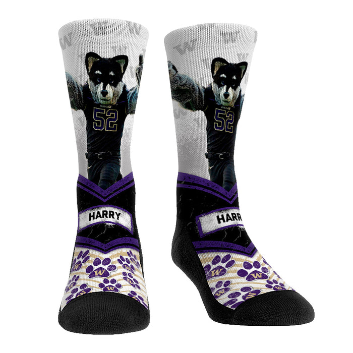 Washington Huskies - Mascot Walkout by Rock 'Em Socks