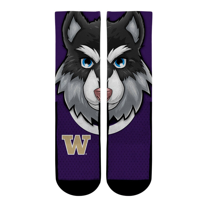 Washington Huskies - Harry the Husky Mascot by Rock 'Em Socks