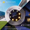 White Solar LED Garden Light by DailySale