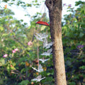 Windlights Solar Powered LED Butterfly Wind Chimes by DailySale
