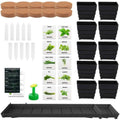 Windowsill Garden Herb Kit by DailySale