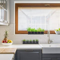 Windowsill Garden Herb Kit by DailySale