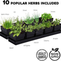 Windowsill Garden Herb Kit by DailySale