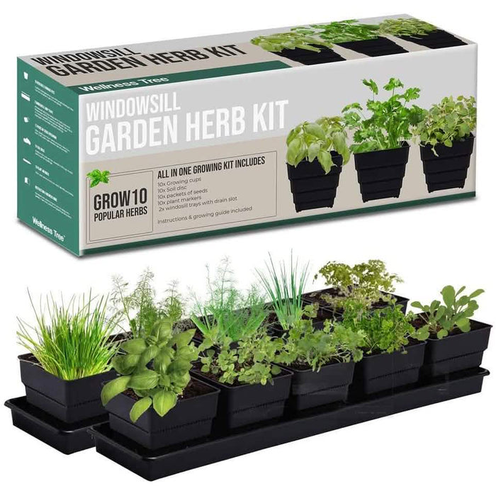 Windowsill Garden Herb Kit by DailySale