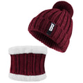 Winter Beanie Hat Scarf Set for Women by DailySale