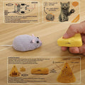 Wireless Electronic Remote Control Mouse Toy by DailySale