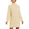 Women's Turtleneck Long Lantern Sleeve Casual Loose Oversized Sweater Dress by DailySale