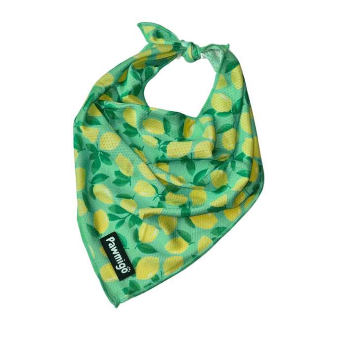 Worth The Squeeze Cooling Bandana by Pawmigo