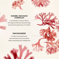 Shiseido Benefiance Wrinkle Smoothing Cream by Nava Beauty