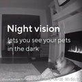 Wyze Cam V2 (Refurbished) by DailySale