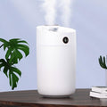 X12 Screen Display Double Spray Humidifier by DailySale